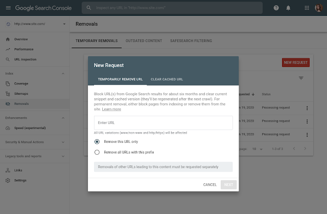 Google Search Console Removals Tool 